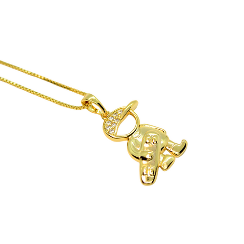 Collar Golden Skate Boy, CHAPA DE ORO 18K
