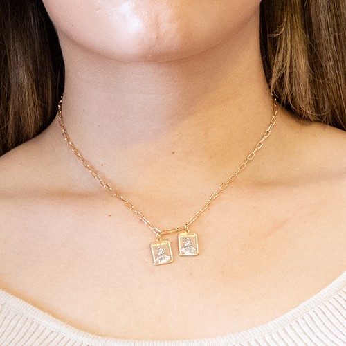 Golden Chain of 'San Benito' - Imagen 2